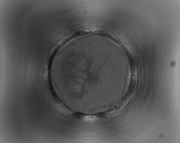 X0000102490508200808221734