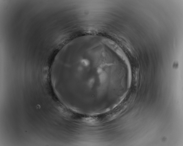 X0000102490511200808221734