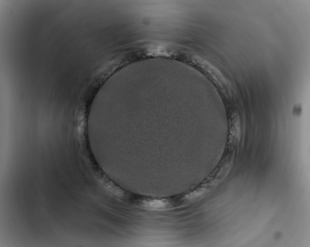 X0000102490513200808221734