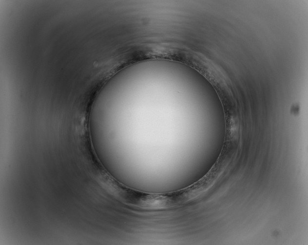 X0000102490514200808221734