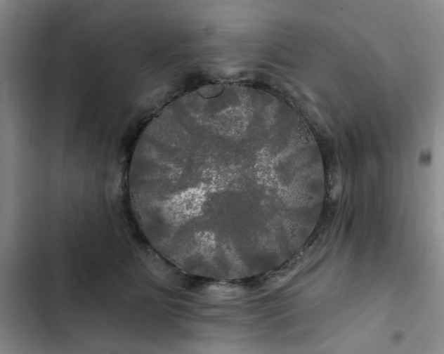 X0000102490515200808221734