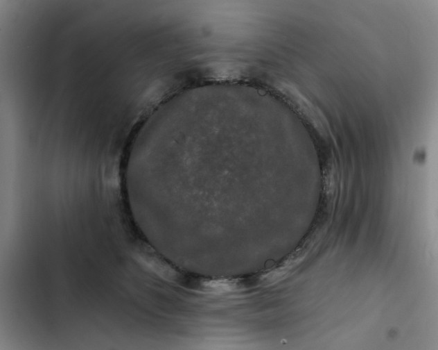 X0000102490516200808221734