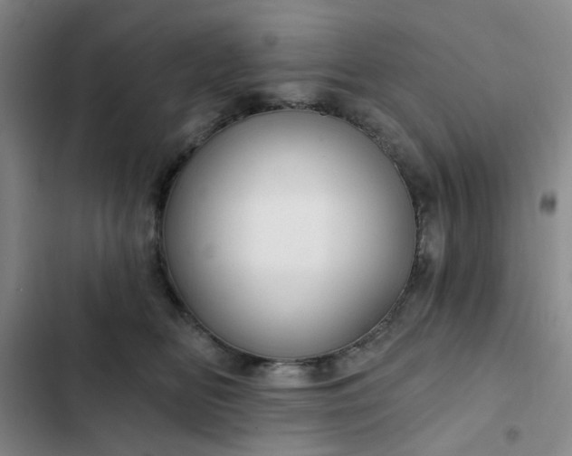 X0000102490518200808221734