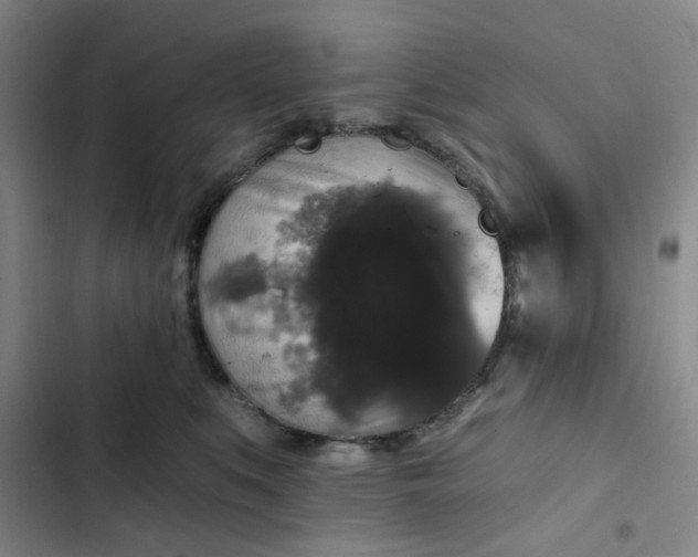 X0000102490519200808221734