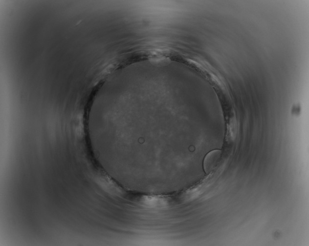 X0000102490520200808221734