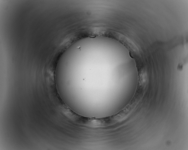 X0000102490522200808221733