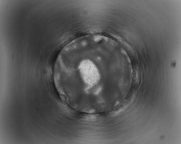 X0000102490523200808221733