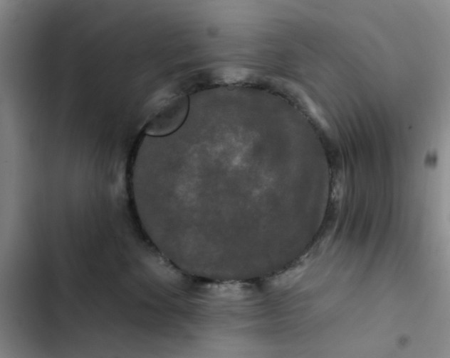 X0000102490524200808221733