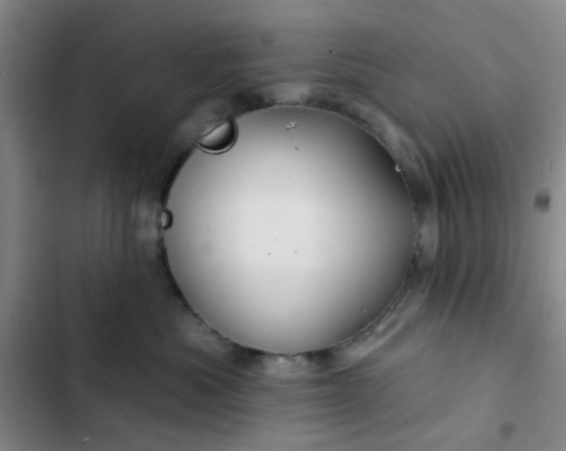 X0000102490525200808221733