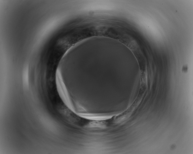 X0000102490526200808221733