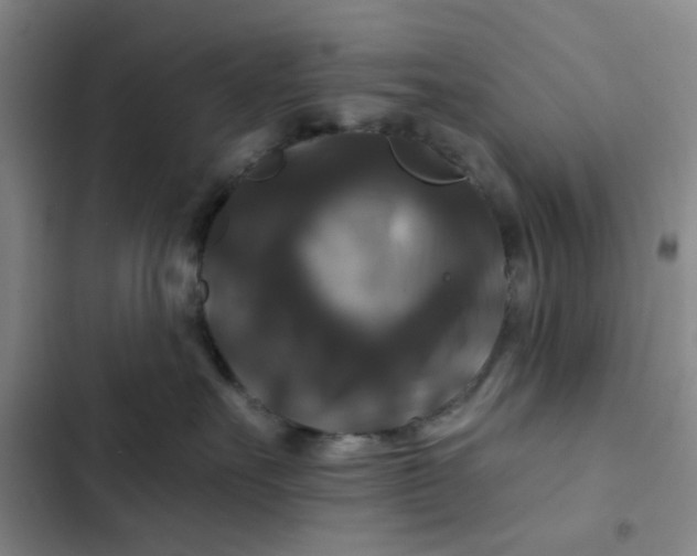 X0000102490527200808221733