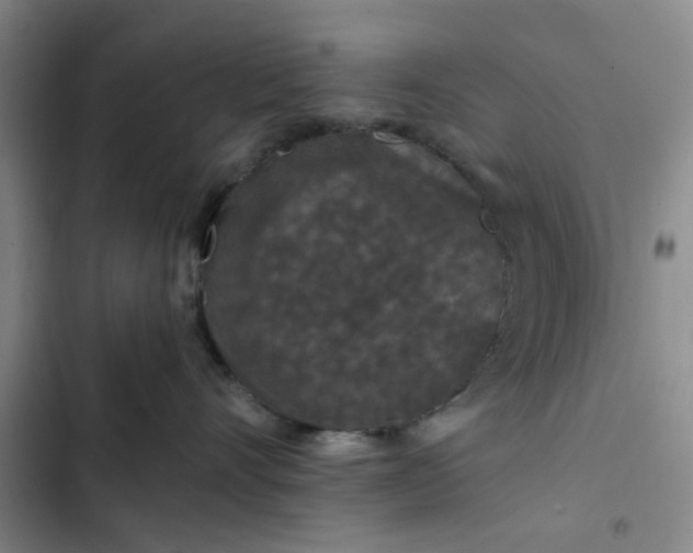 X0000102490528200808221733