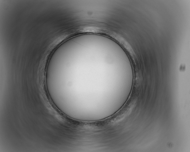 X0000102490529200808221733