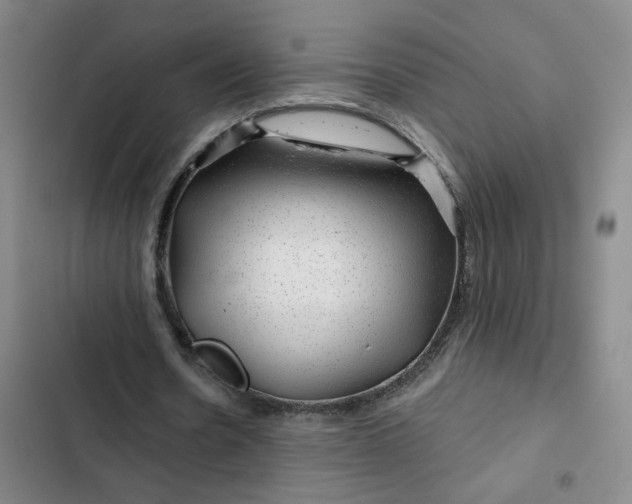 X0000102490530200808221733