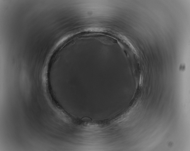 X0000102490531200808221733