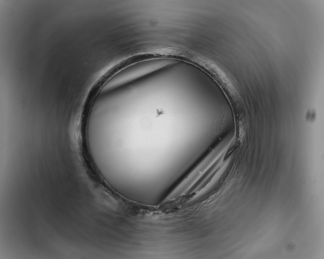 X0000102490532200808221733