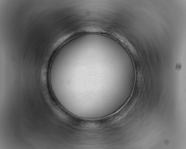 X0000102490533200808221733