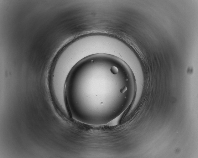 X0000102490534200808221733