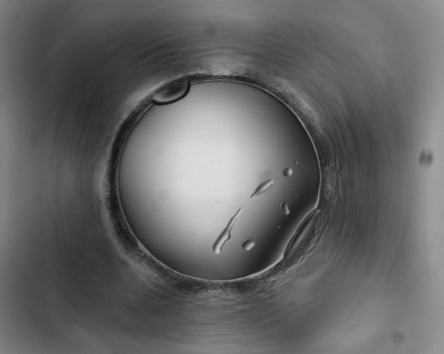 X0000102490536200808221733