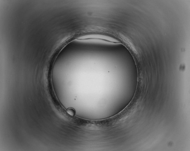 X0000102490538200808221733