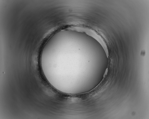 X0000102490539200808221733