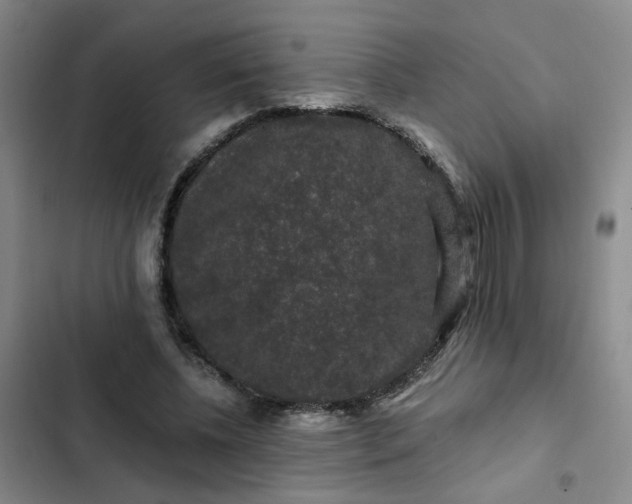 X0000102490540200808221733