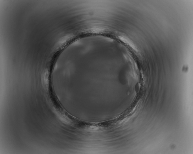 X0000102490542200808221733