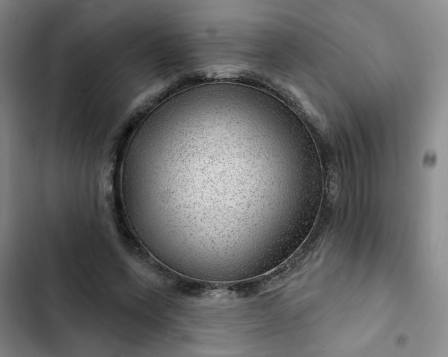 X0000102490543200808221733