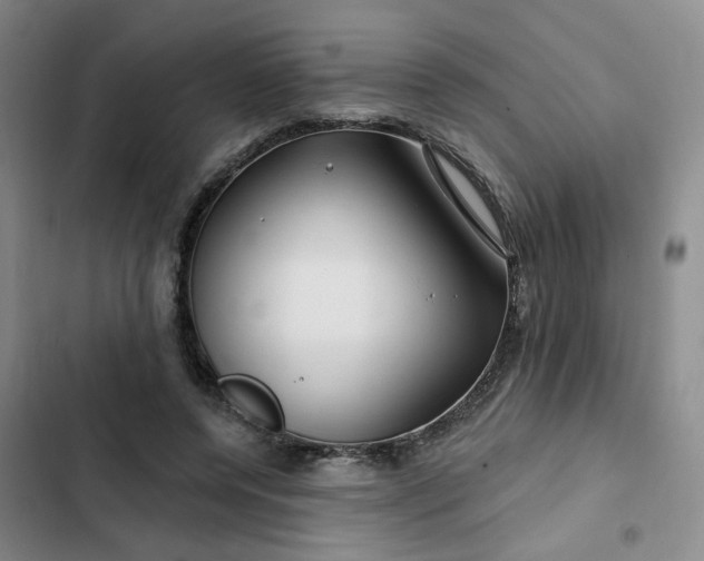 X0000102490544200808221733