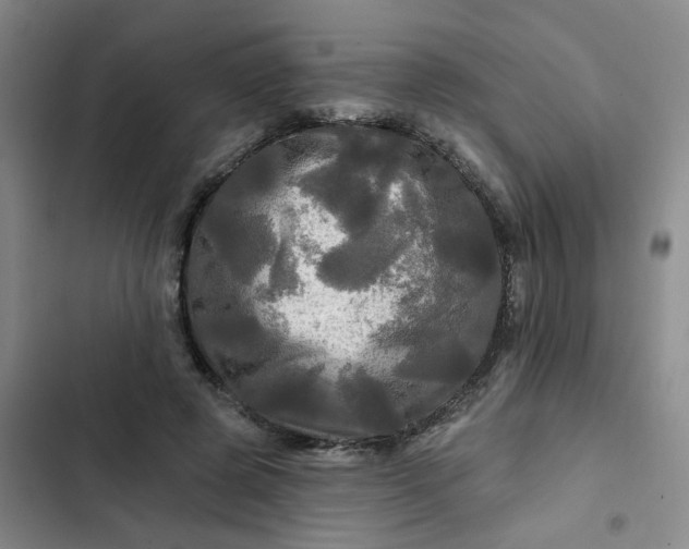 X0000102490545200808221733