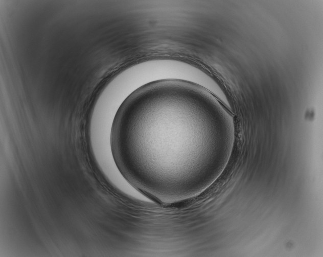 X0000102490547200808221733