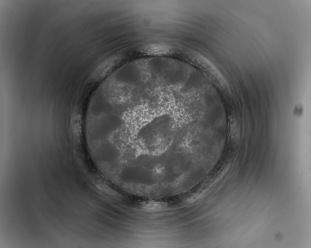 X0000102490549200808221733