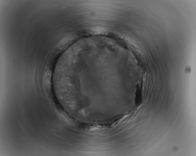 X0000102490550200808221733