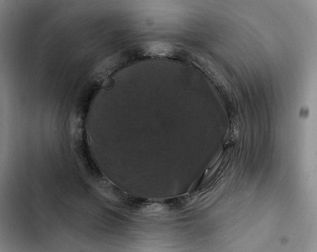 X0000102490551200808221733