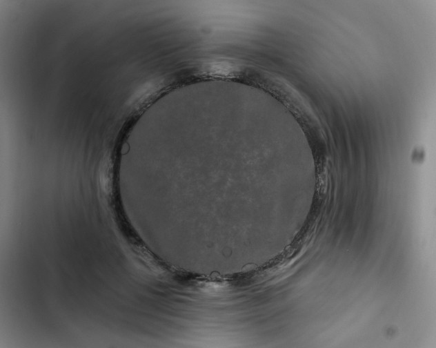 X0000102490552200808221733