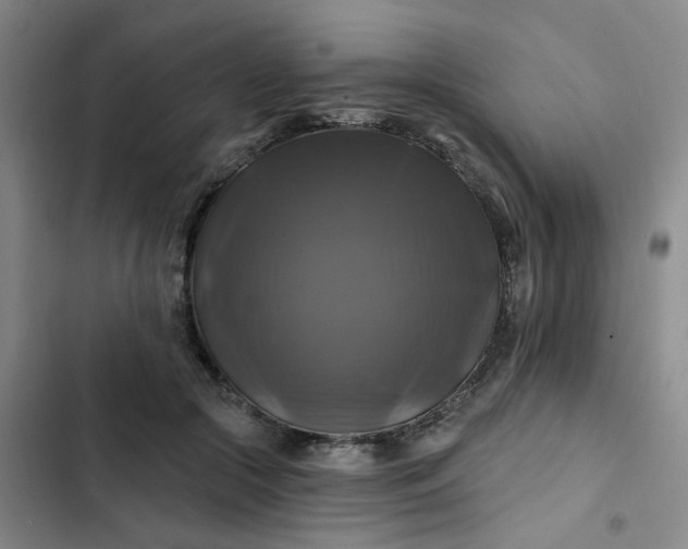 X0000102490553200808221733