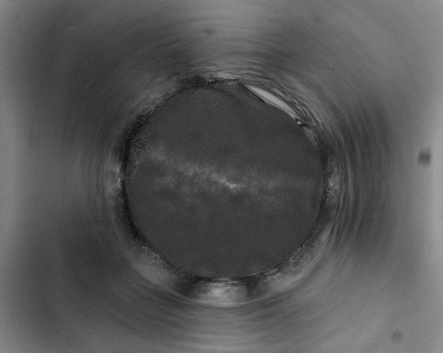 X0000102490555200808221733