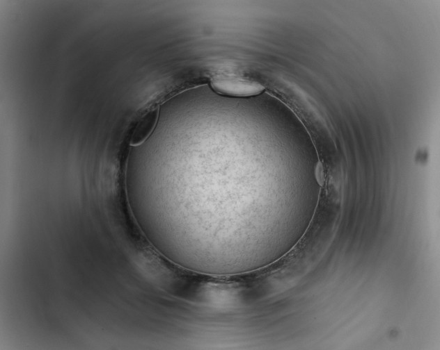 X0000102490556200808221733