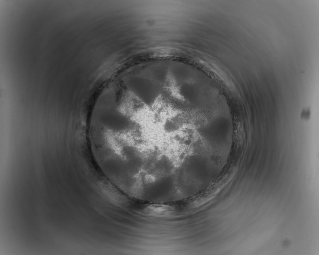 X0000102490557200808221733