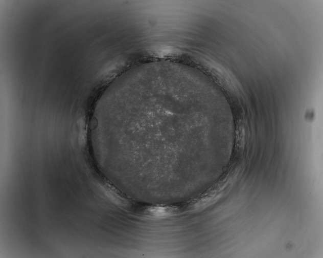 X0000102490558200808221733