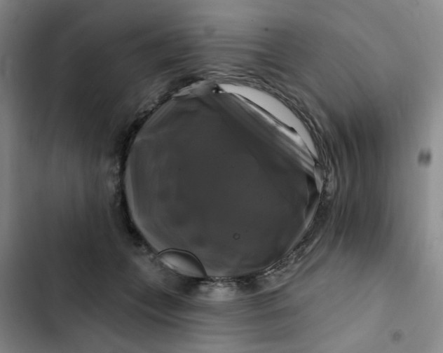 X0000102490559200808221733