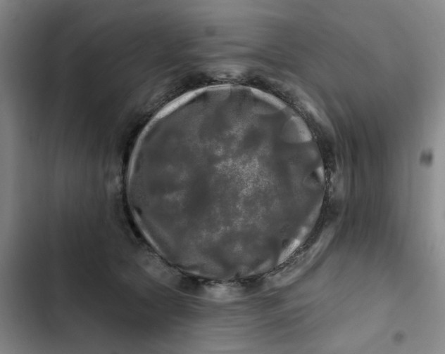 X0000102490561200808221733