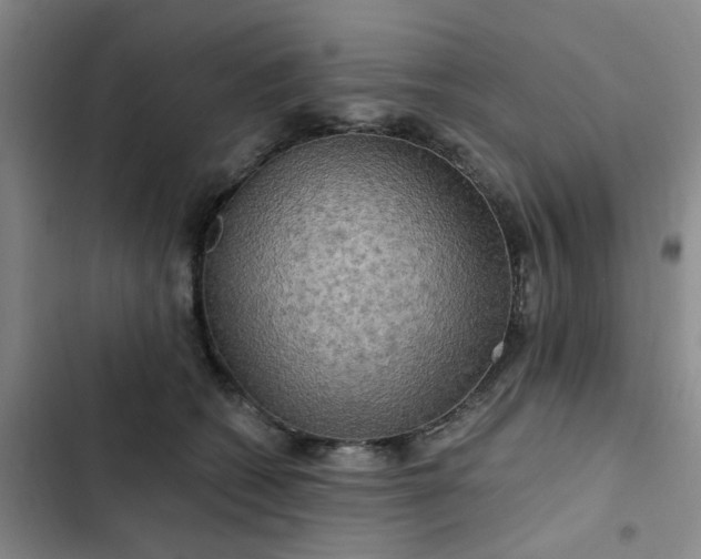 X0000102490562200808221733