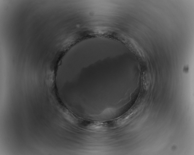 X0000102490563200808221733