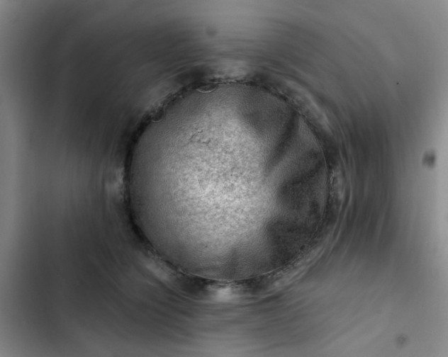 X0000102490564200808221733