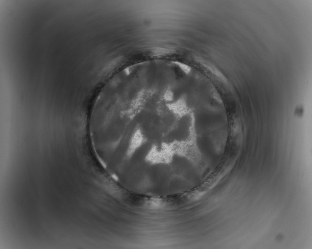 X0000102490565200808221733