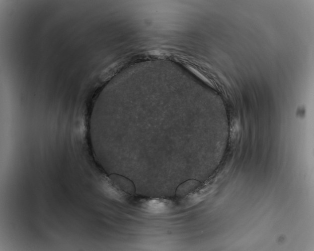 X0000102490566200808221733