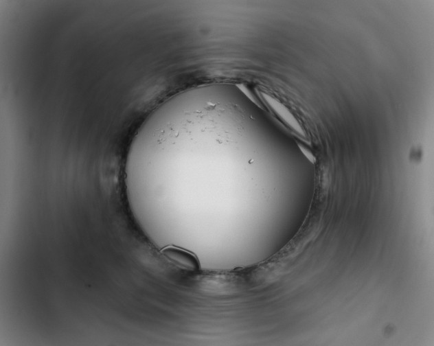 X0000102490567200808221733