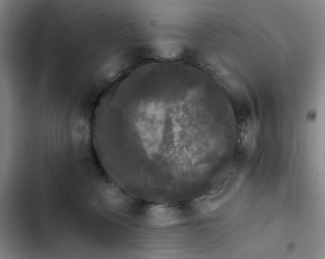 X0000102490568200808221733