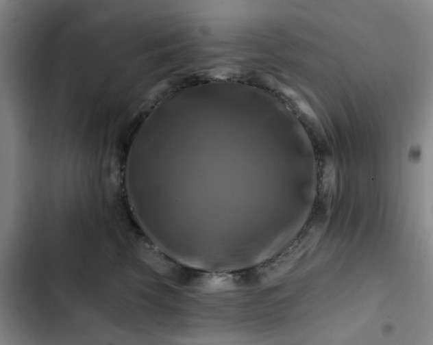 X0000102490569200808221733